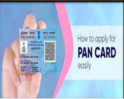 Income Certificate & PAN Card Assistance